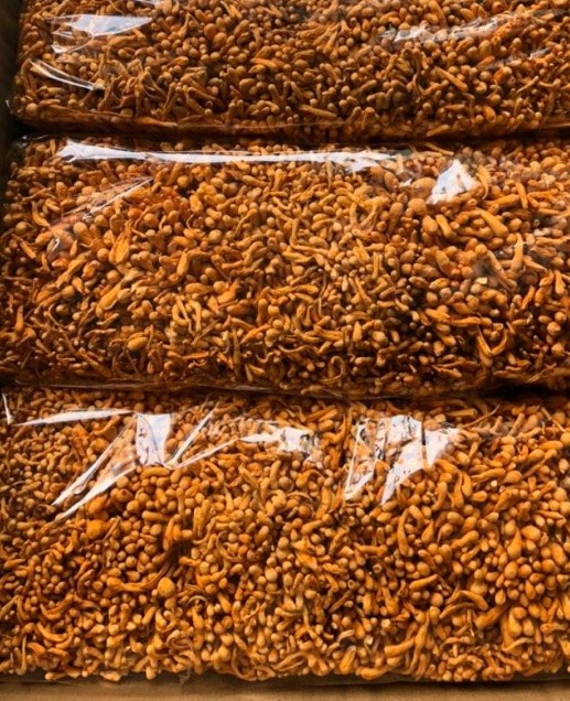 (1KG) ĐÔNG TRÙNG HẠ THẢO SẤY KHÔ (Loại rối)