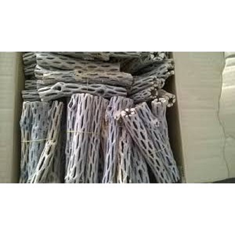 Lũa CHOLLA cho tép cảnh - LŨA XƯƠNG RỒNG -phụ kiện tép cảnh - shopleo