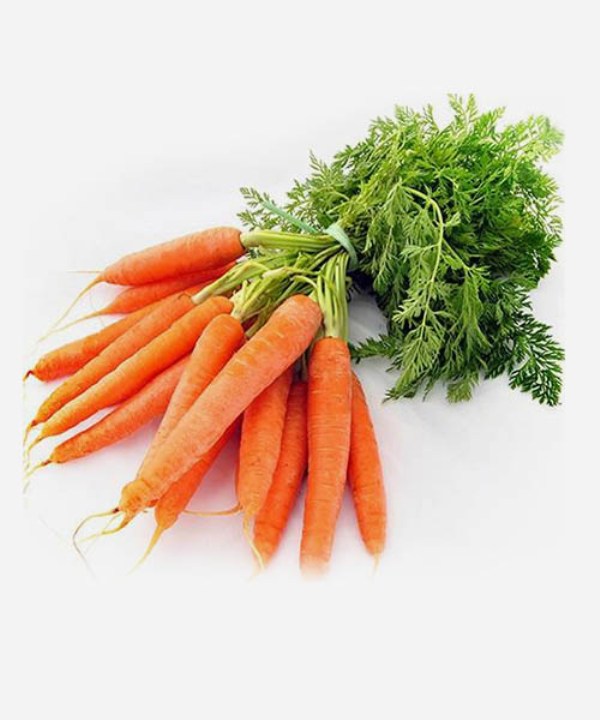 Gói 5 gram hạt giống cà rốt