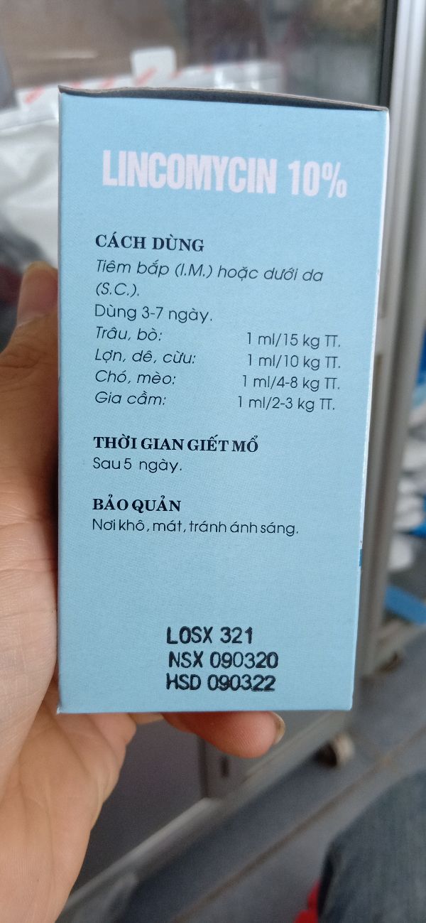 Lincomycin 100Ml Đặc T rị Nhiễm Khuẩn - 307