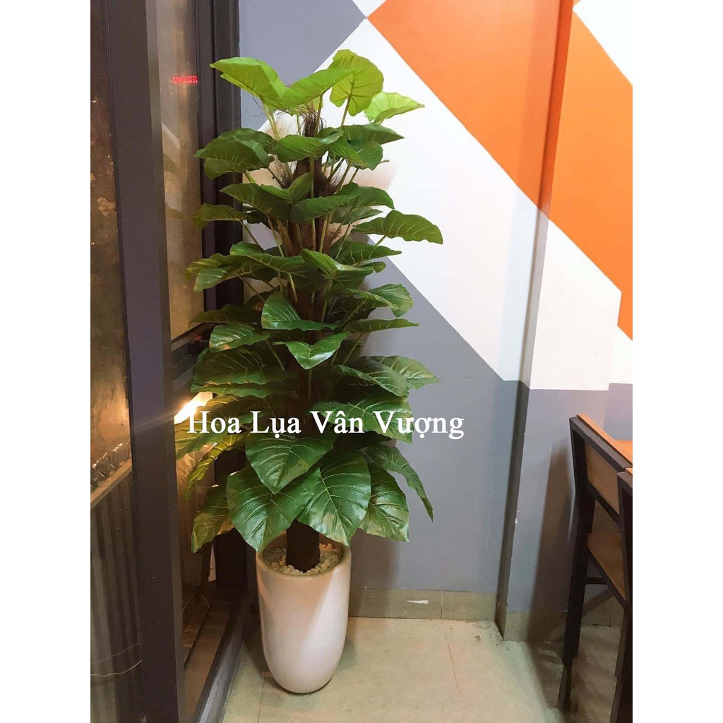 Cây Giả 🌺 Cây Trầu Bà 63 Lá Cao 1,6m