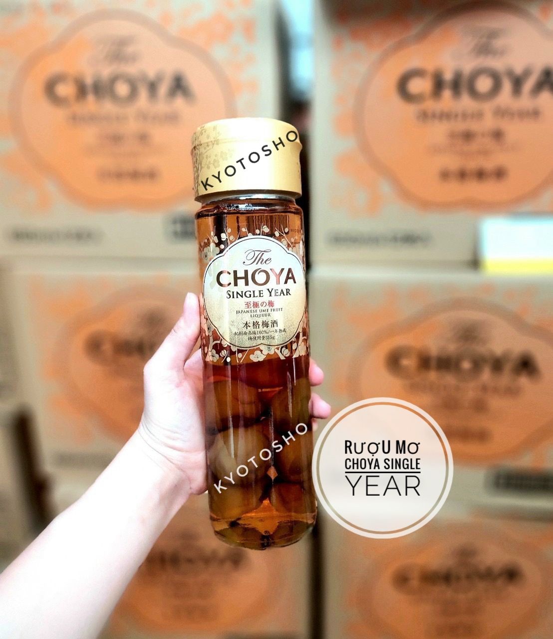 Mơ Choya, Mơ Vảy Vàng Nhật Bản