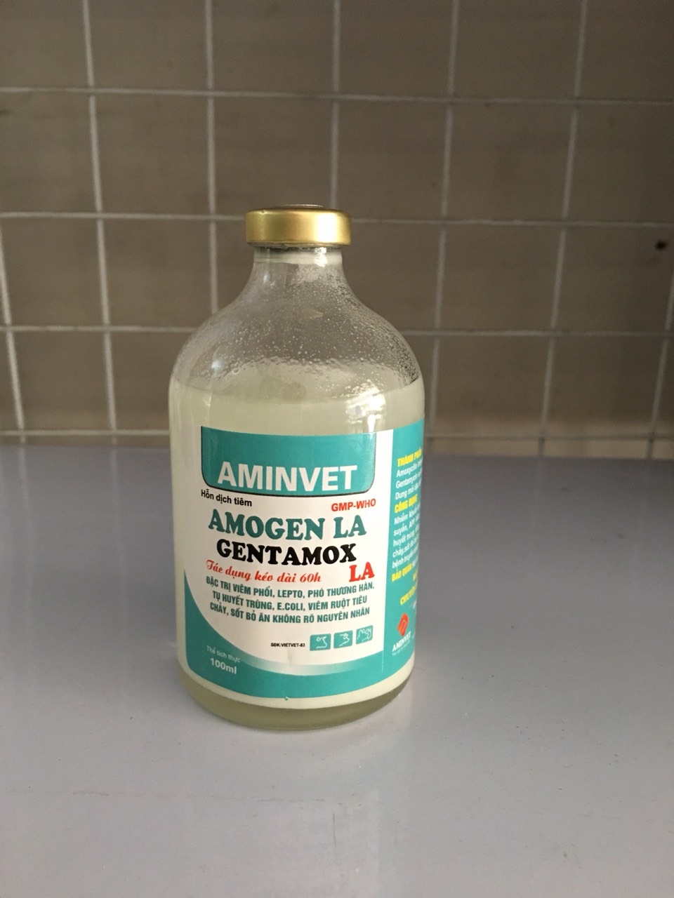 Gentamox - viêm phổi, tiêu chảy, sốt bỏ ăn không rõ nguyên nhân chó, mèo, gia súc, gia cầm
