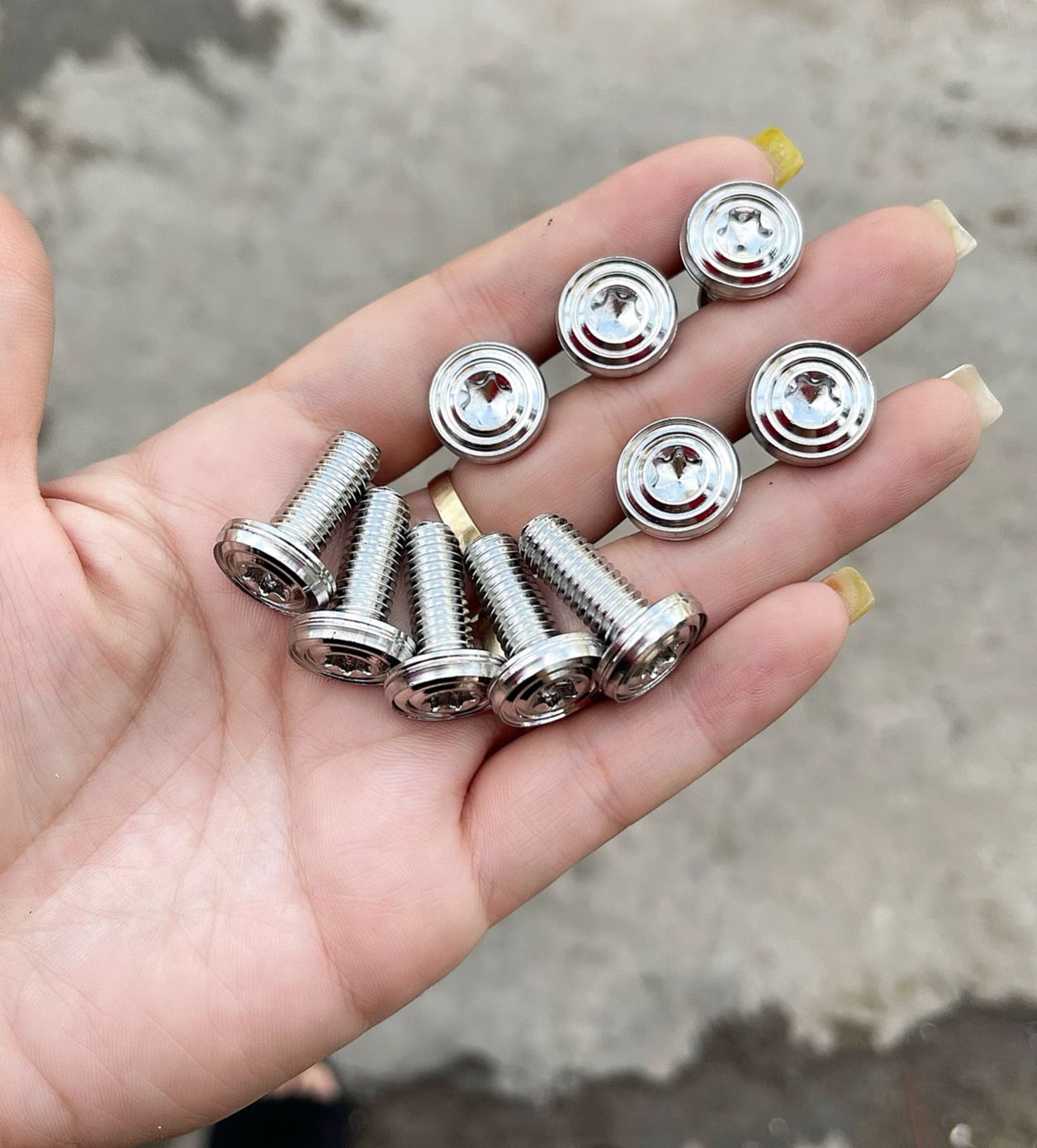 Ốc Bắt Đĩa Salaya Inox 304 8Li