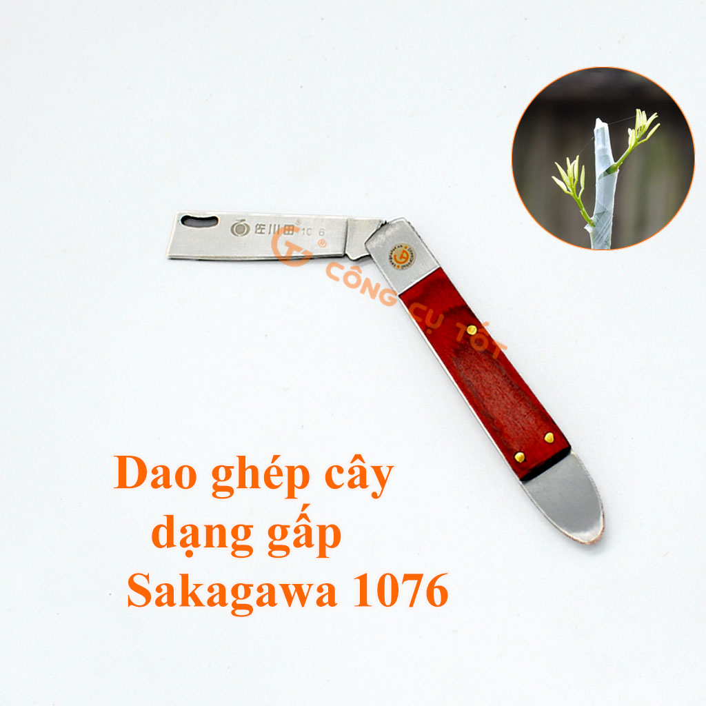 Dao ghép cây Sakagawa 1076