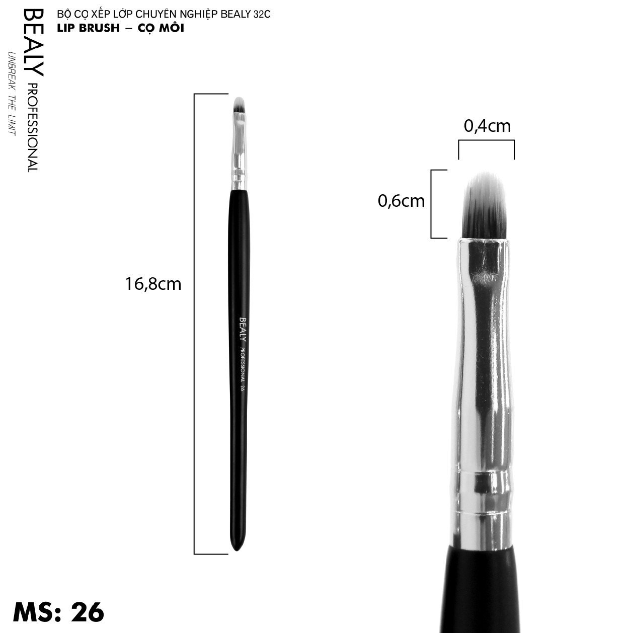 Cọ Môi Bealy CXL32C- NO.26