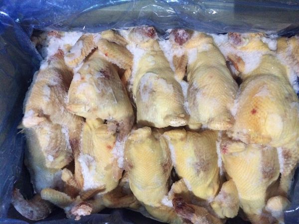 [CHỈ GIAO HÀ NỘI] 1.8KG gà nguyên con