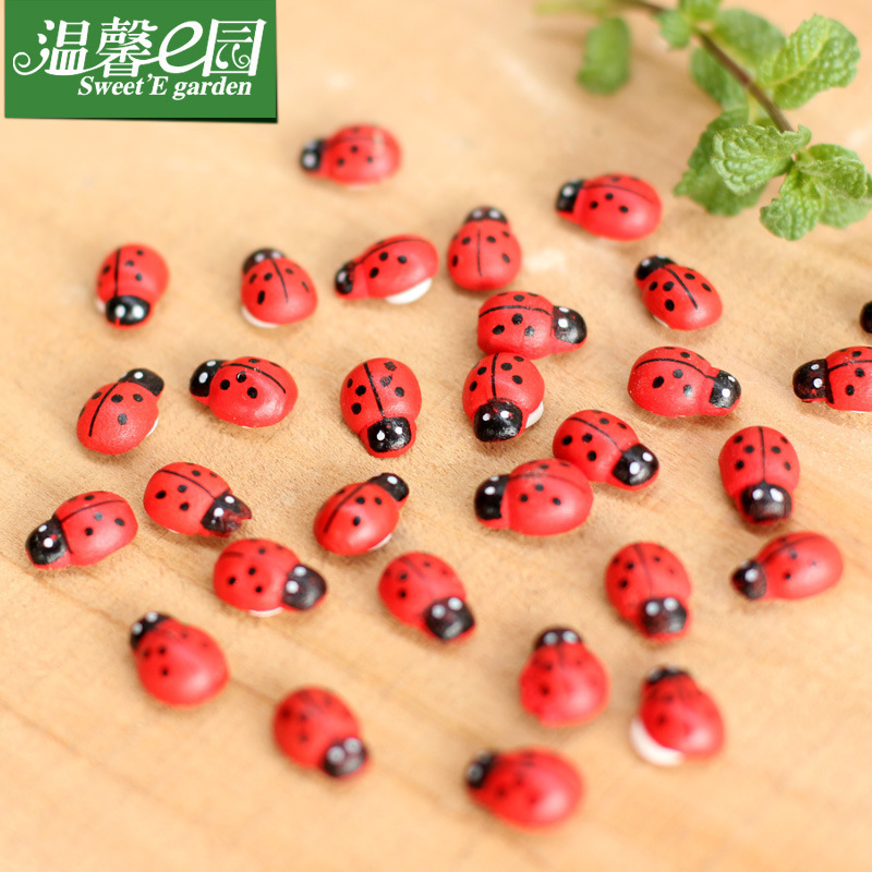 Sen đá tiểu cảnh - combo 05 Bọ ngũ sắc mini