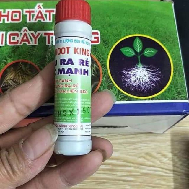 Ống kích rễ giâm cành root king 20ml. kích rễ siêu mạnh