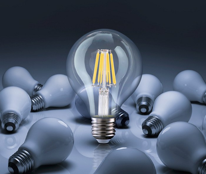 Bóng đèn Led Edison G95 8W đui E27.
