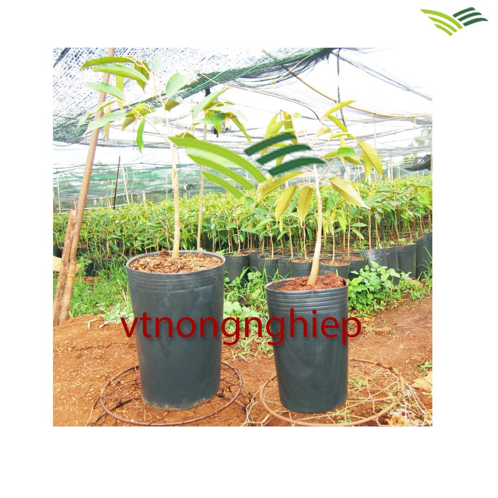 50 plastic basin C18 18x14x28 planting ươm tree