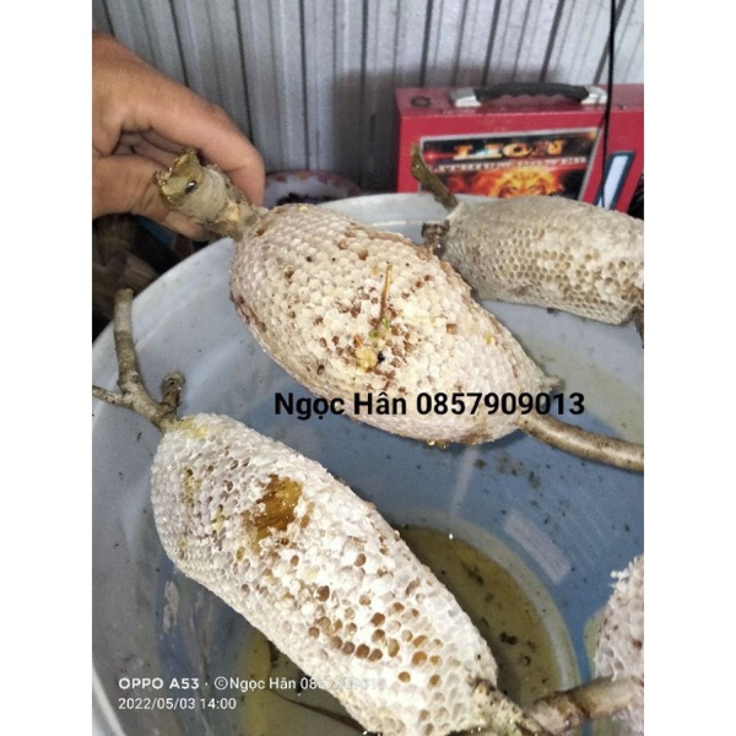Mật ong ruồi nguyên chất