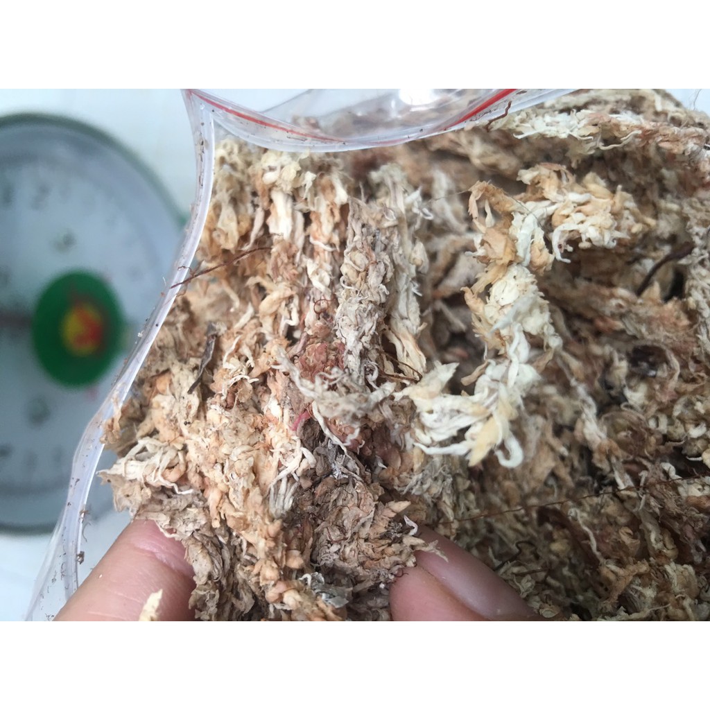 Dớn trắng Chile (dớn mềm) chất trồng hoa lan 100gr
