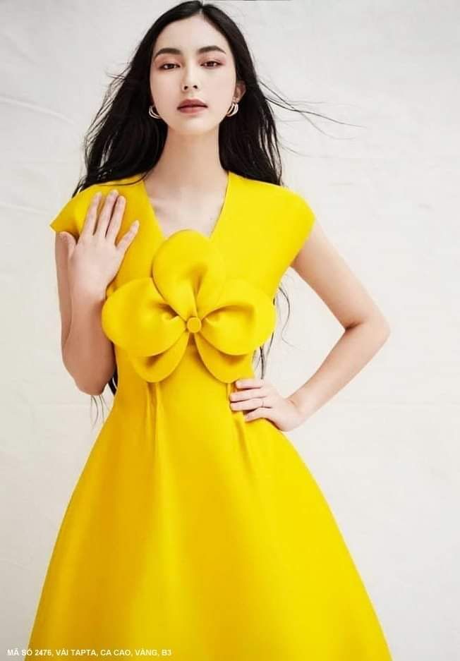 đầm xòe dự tiệc cổ tim đính hoa lớn