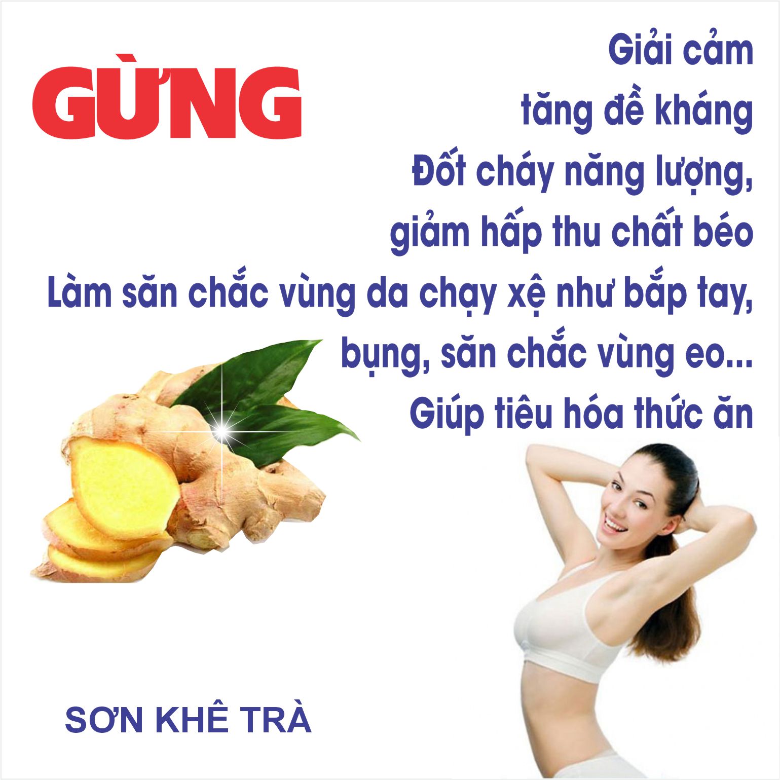 Sả Gừng Chanh giảm cân hiệu quả 10 gói