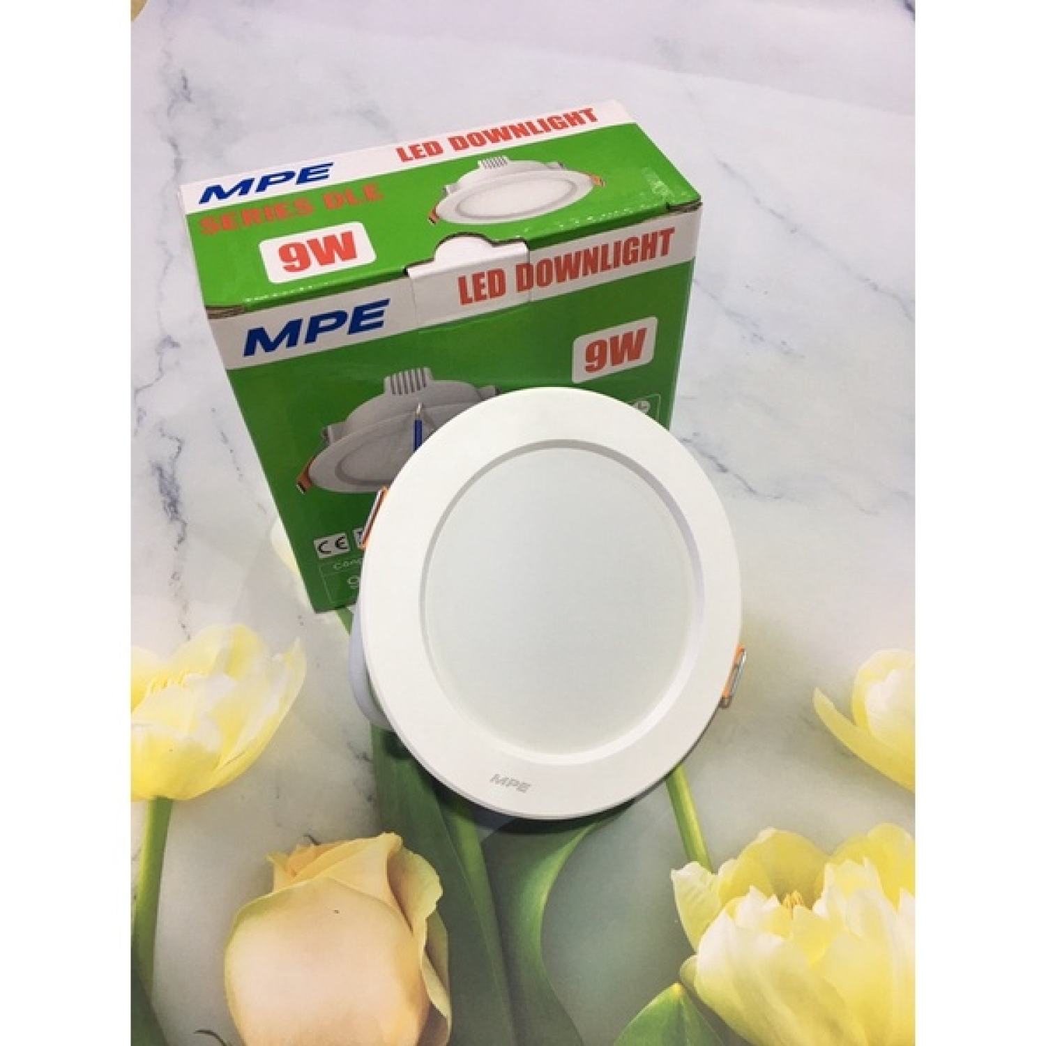Bóng âm trần mpe 9w
