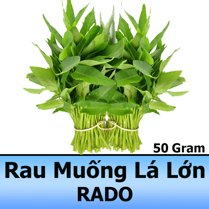Gói 50gr Hạt giống Rau Muống Lá Lớn Dễ Trồng, Năng Suất Cao