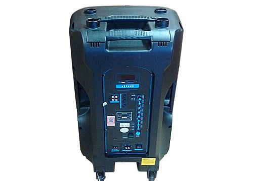Loa di động Temeisheng SL-15