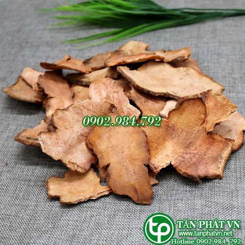 Thổ phục linh khô 1kg- Hỗ trợ cải thiện sức khỏe xương khớp người sử dụng - Thảo Dược Tấn Phát