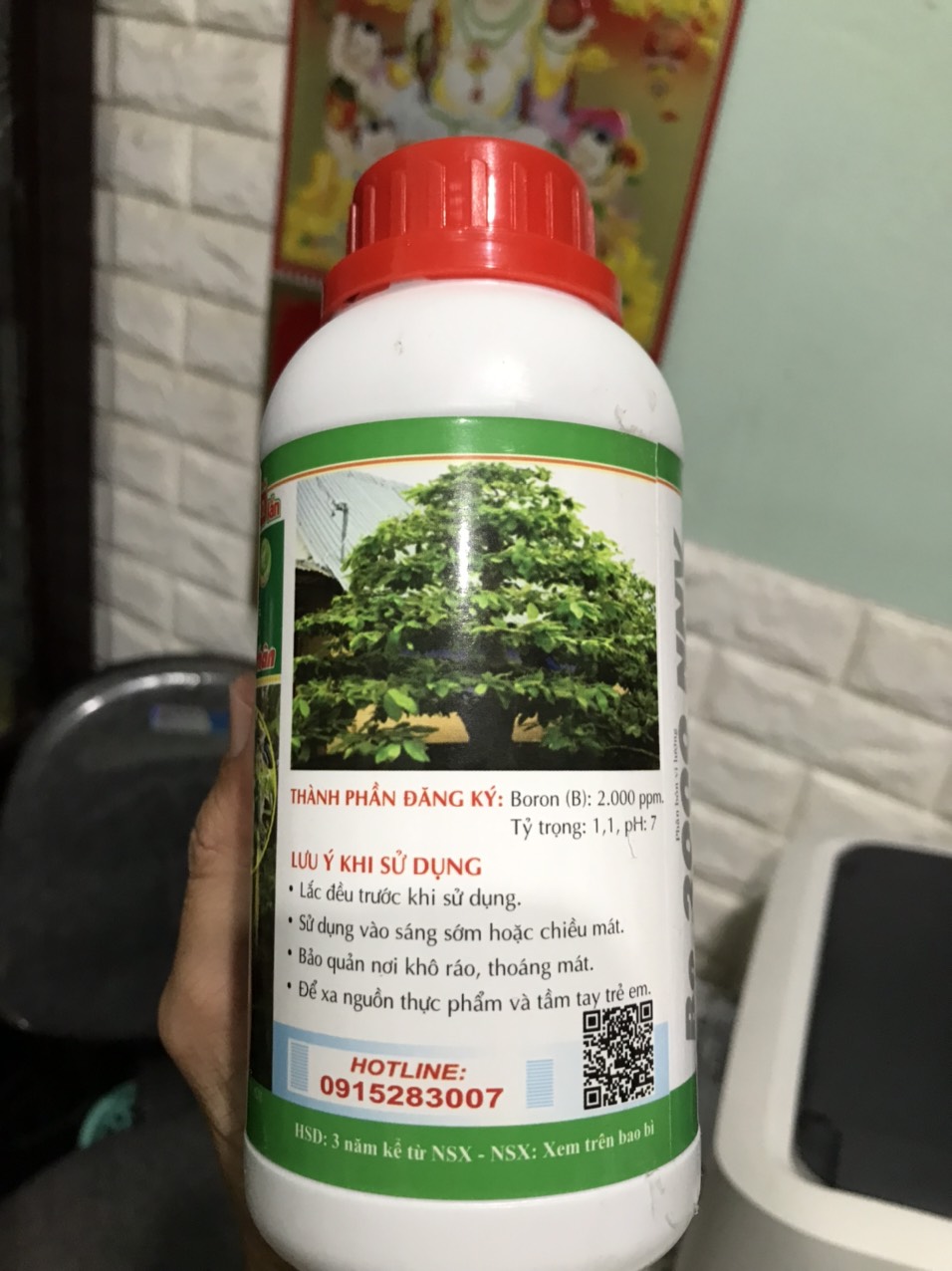 bung đọt mai vàng chai 500ml