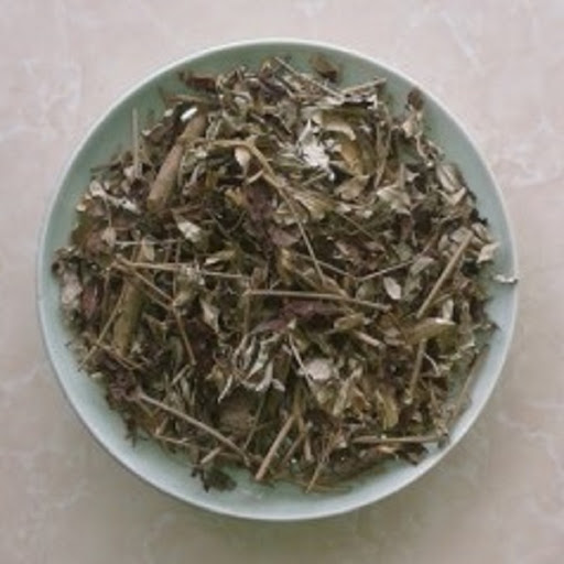 Lá khổ sâm khô 500g gt323