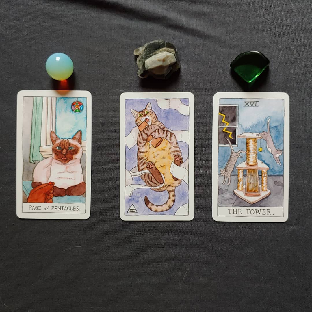 [Size Gốc] Bộ bài Bài Cat Tarot