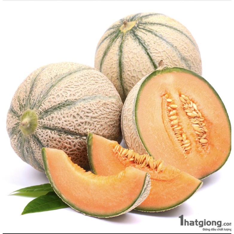 1g hạt giống dưa lưới sọc Rạng Đông