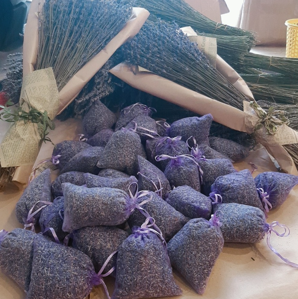 Túi thơm nụ hoa khô lavender (nụ hoa nhập pháp mùi thơm dai)