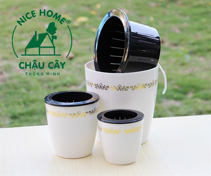 Chậu cây tự dưỡng thông minh- H005