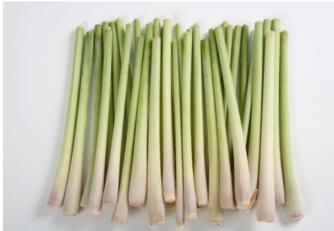 SẢ SẤY KHÔ 100GR
