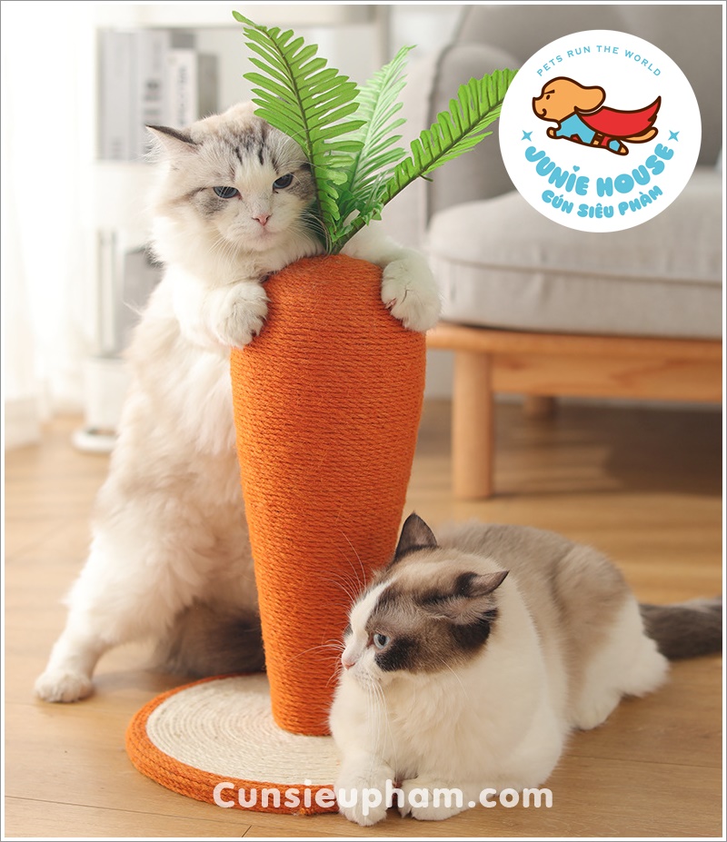 Đồ chơi cây cà rốt cào móng cho mèo