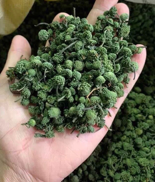 Nụ hoa tam thất khô ( Nụ bao tử 500g)