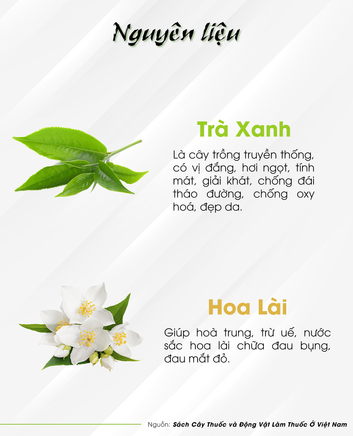 TRÀ LÀI -  Trà Hùng Phát
