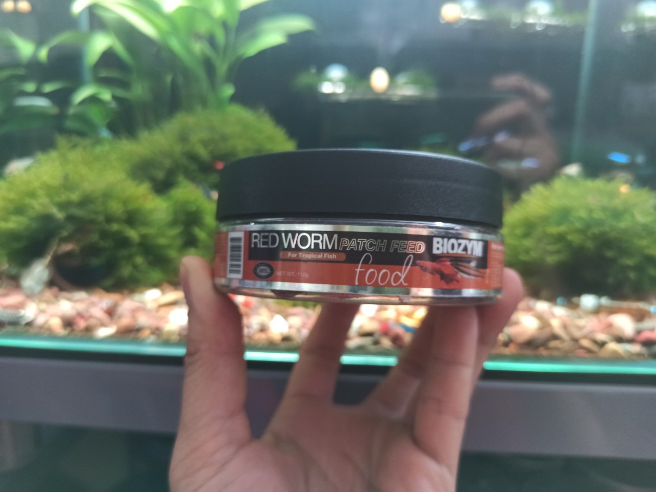 Thức ăn cá dán Biozym trùn huyết - Red Worm Patch Feed- viên dán trùng huyết giun đỏ cho cá tép cảnh-shopleo