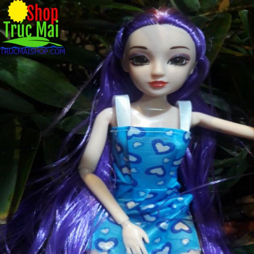 Búp bê khớp tóc dài