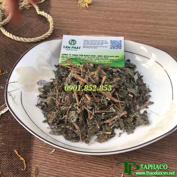 Chè dây sấy khô túi lớn loại 500g - hàng sạch xanh chất lượng cao - hỗ trợ tốt cho dạ dày của bạn
