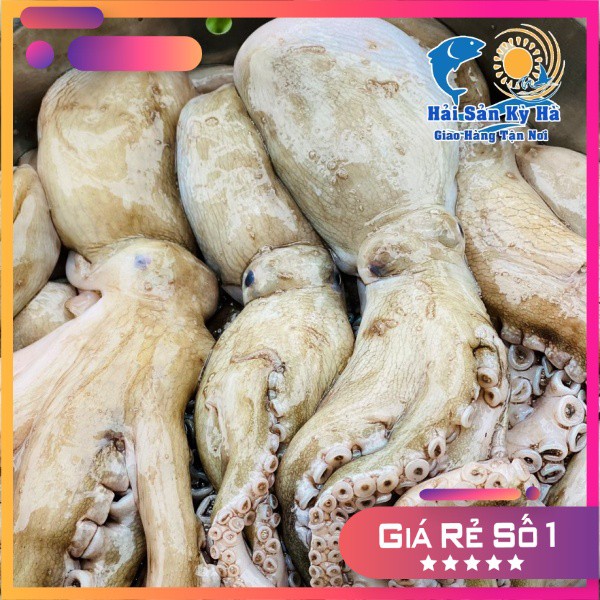 [GIAO NHANH 2H HCM] Giá Sỉ Bạch Tuộc Lớn (hàng chuẩn)