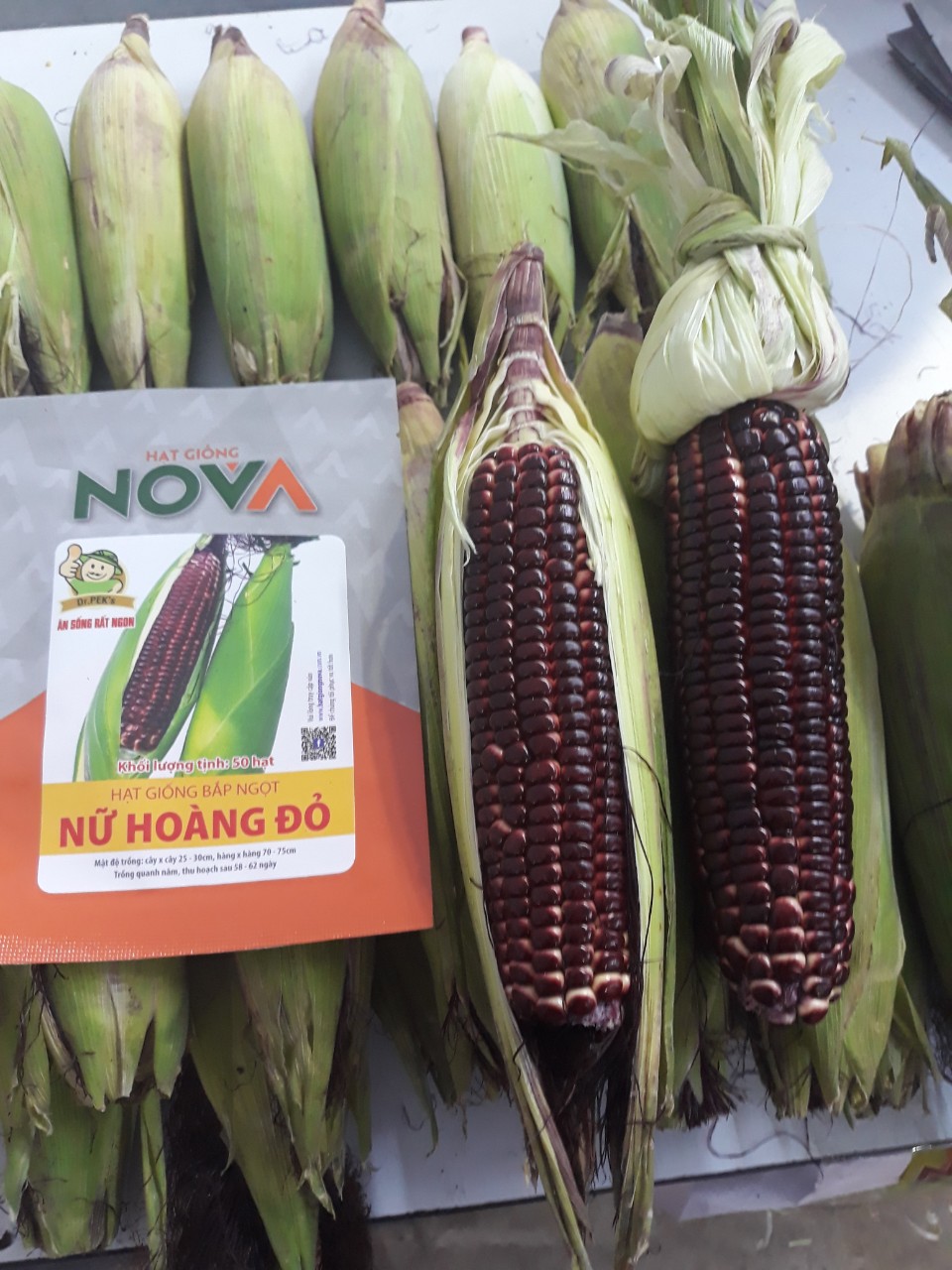 [HCM]Hạt giống bắp Nữ Hoàng đỏ - gói 50 hạt