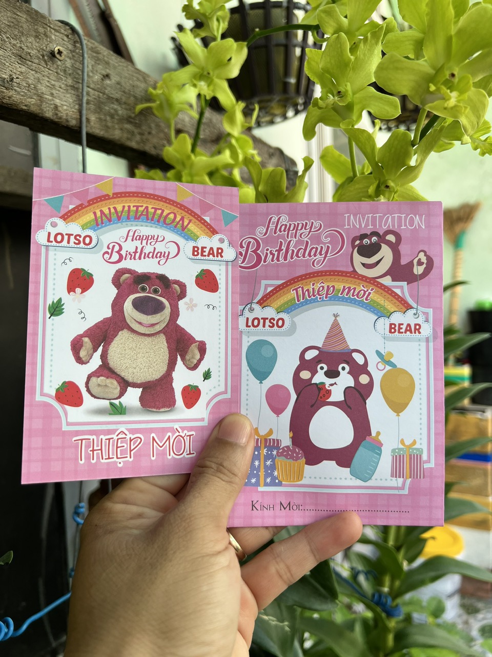 Combo 30 thiệp sinh nhật Gấu Dâu Lotso