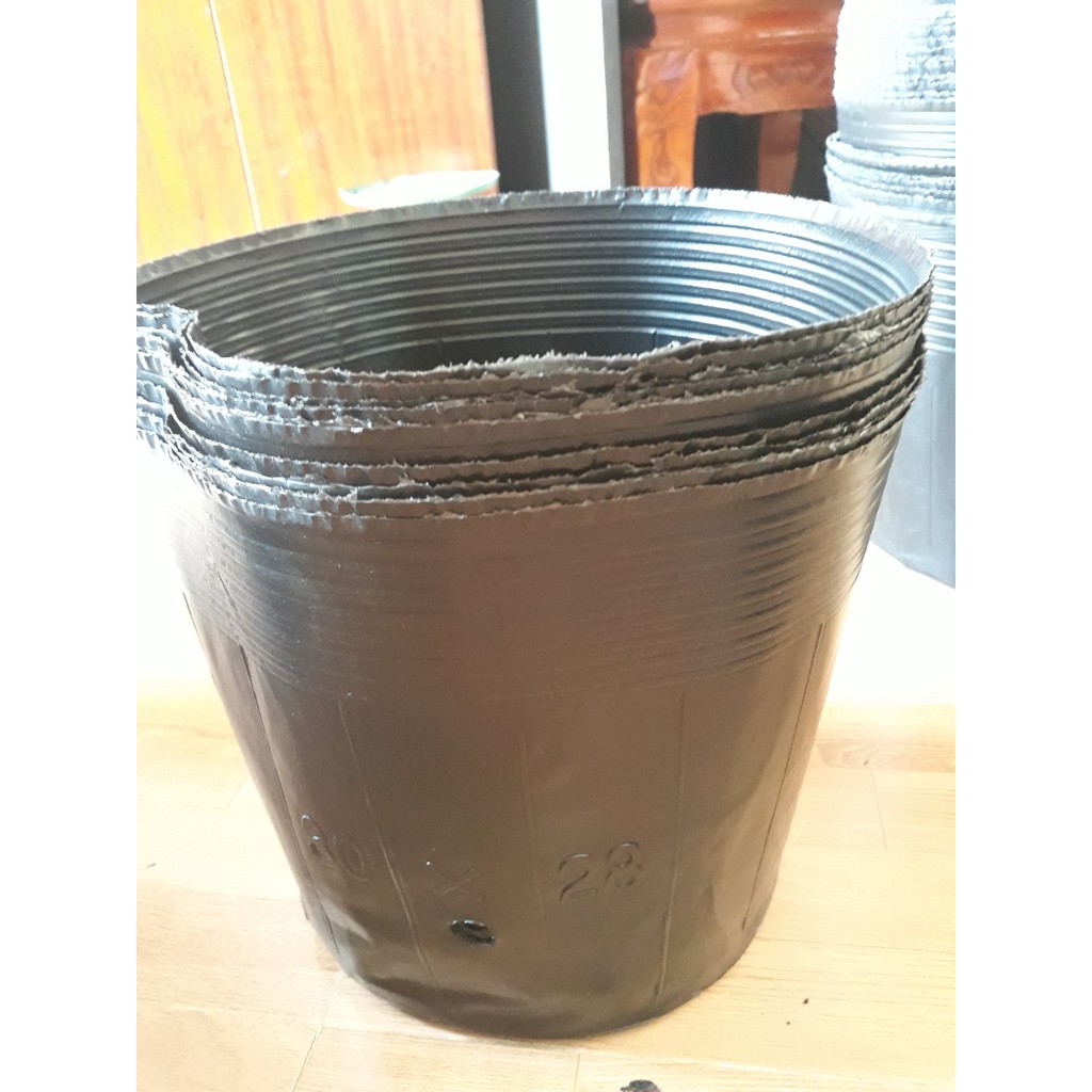 Bầu ươm cây 26x21 1kg 60 cái