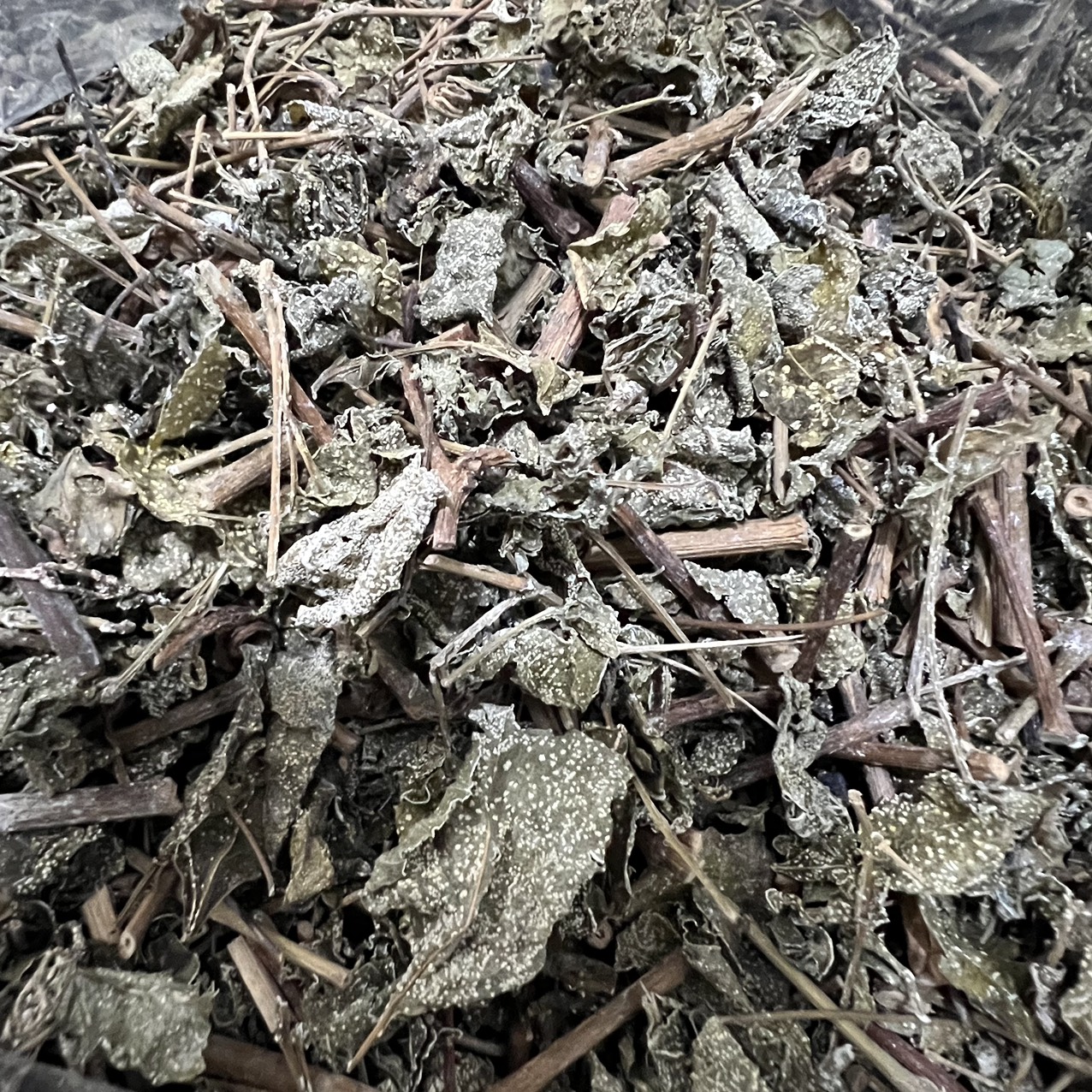 Chè dây khô 1kg - Thảo Dược Tấn Phát - Trà ngon tốt cho dạ dày