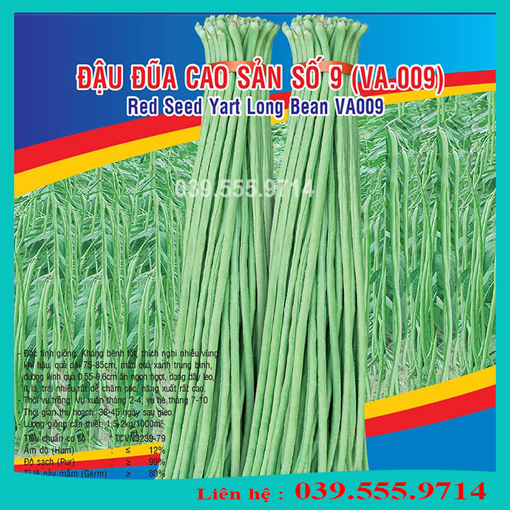 Hạt giống Đậu Đũa Cao Sản – 20gram