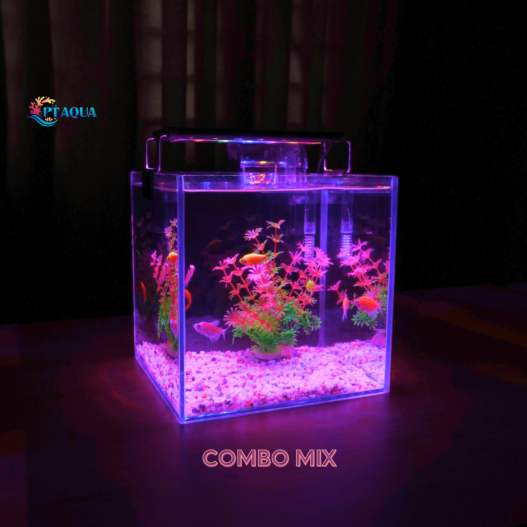 Bể cá mini để bàn CUBIC 20 combo nhiều mẫu nhỏ xinh phù hợp nuôi cá cảnh để bàn