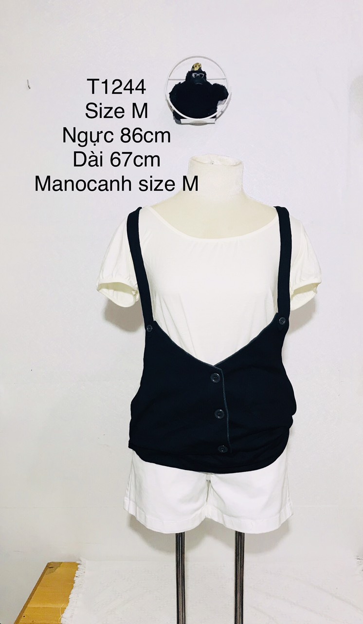 Áo Thun Nữ (Hàng Đuôi Giá Rẻ) Hàng Si Nhật Hàn Chất Cotton Cho Mùa Hè