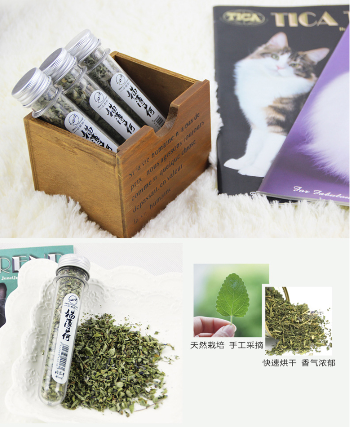 Cỏ mèo Catnip, CỎ BẠC HÀ SMALL LEOPARD CHO MÈO (45ml)