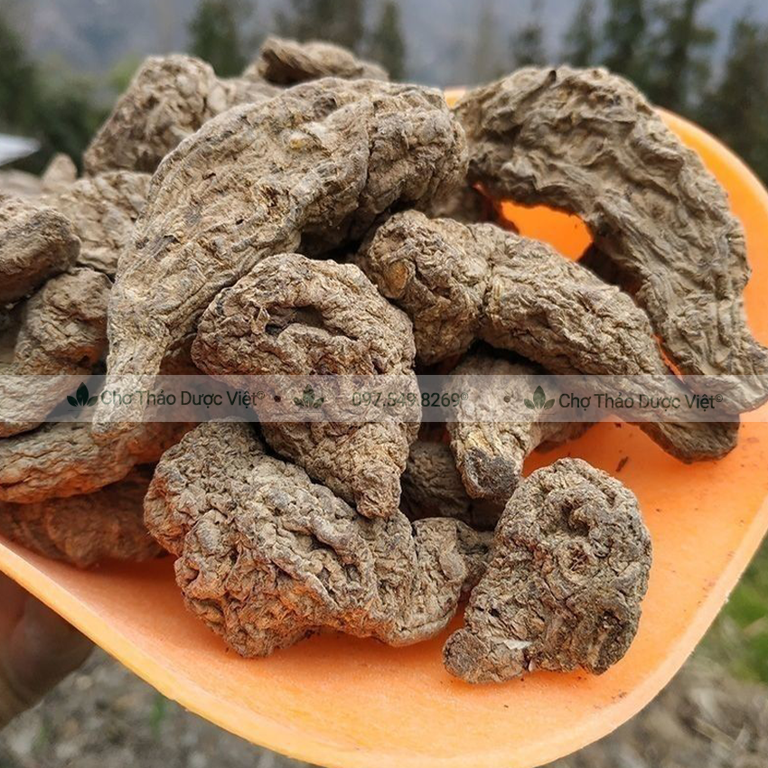 Sinh địa khô 500g, củ sanh địa to, khô, sạch - Chợ Thảo Dược Việt