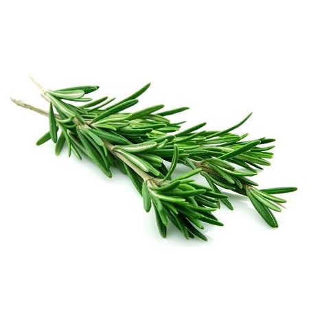 #Hạt giống hoa hương thảo
