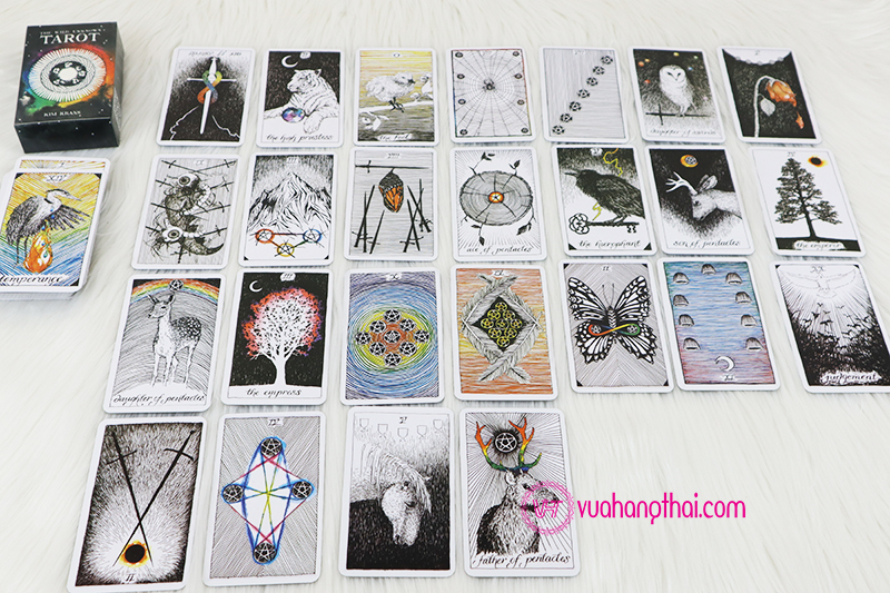 [HCM]Bộ Bài Bói The Wild Unknown Tarot Cao Cấp 78 lá