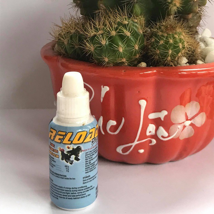 Thuoc Ga Da RELOAD PLUS - Chai x 15ML
