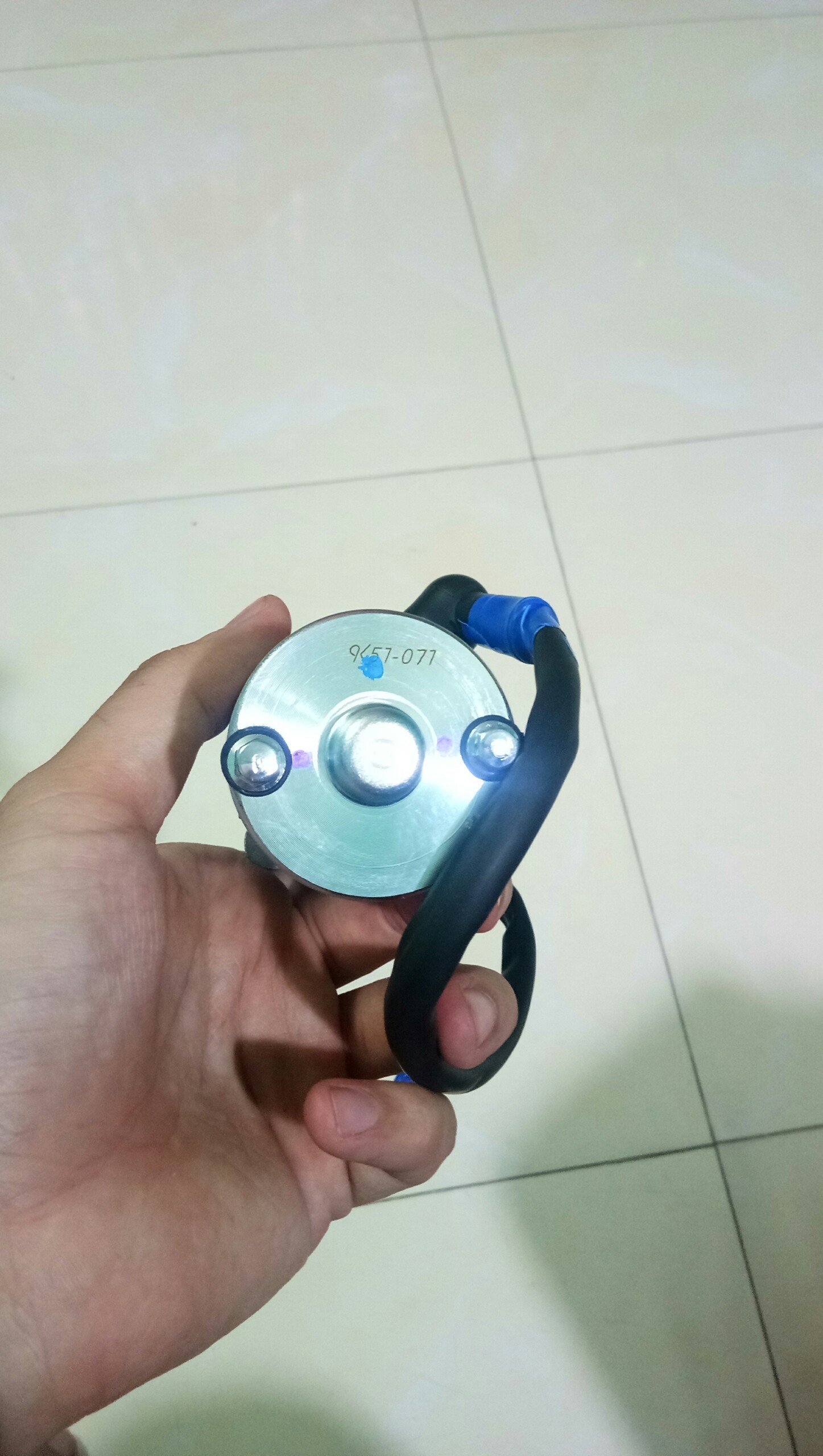 Củ đề Sirius Hàng tốt